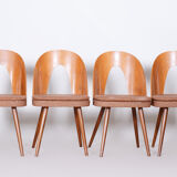 Chairs by Antonín Šuman 1950