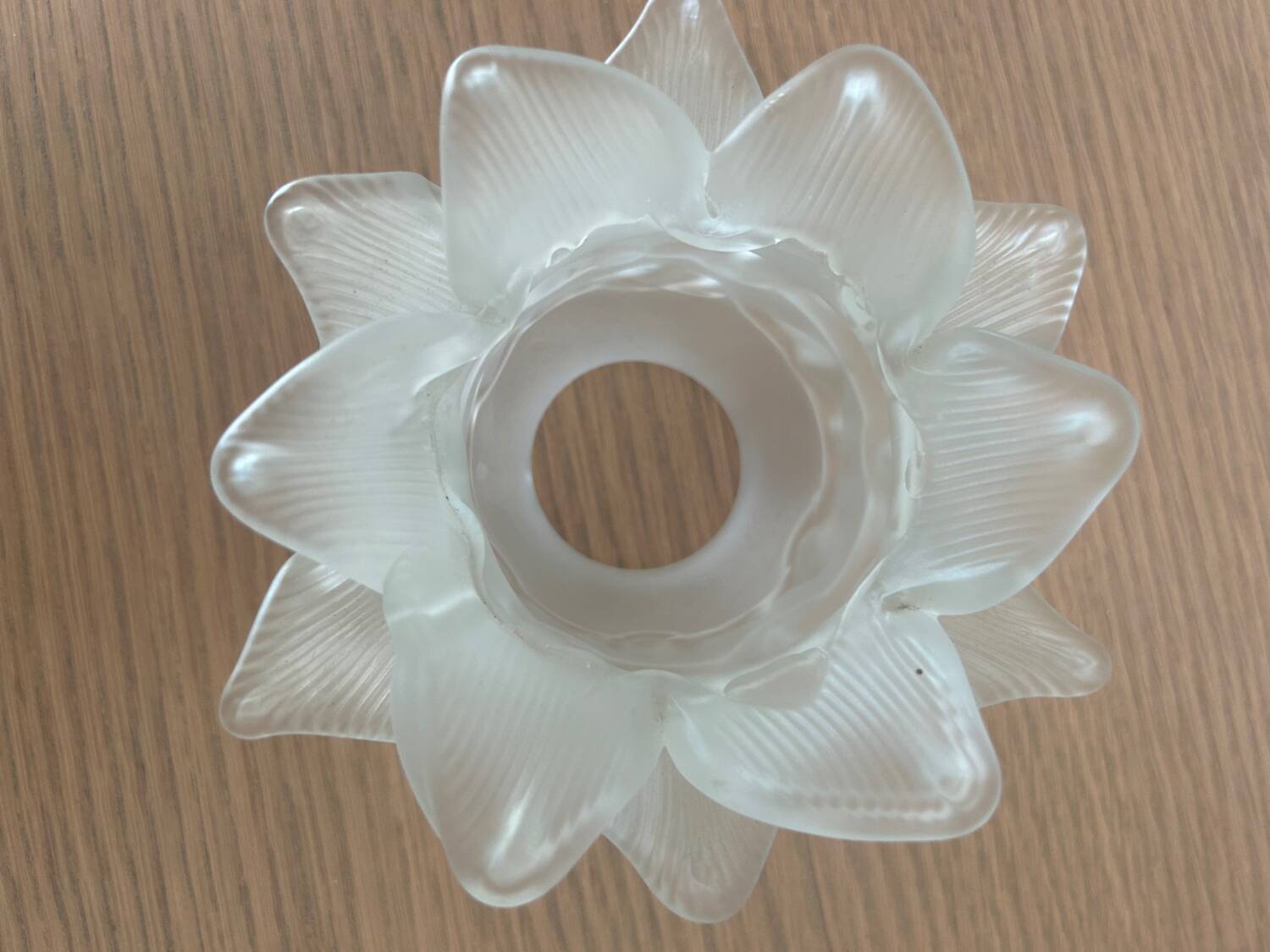 5 glass paste tulips