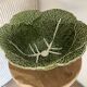 Cabbage barbotine salad bowl