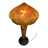 Lampe champignon anémone automne reproduction Galle