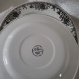 Set of 9 queen's english porcelain plates