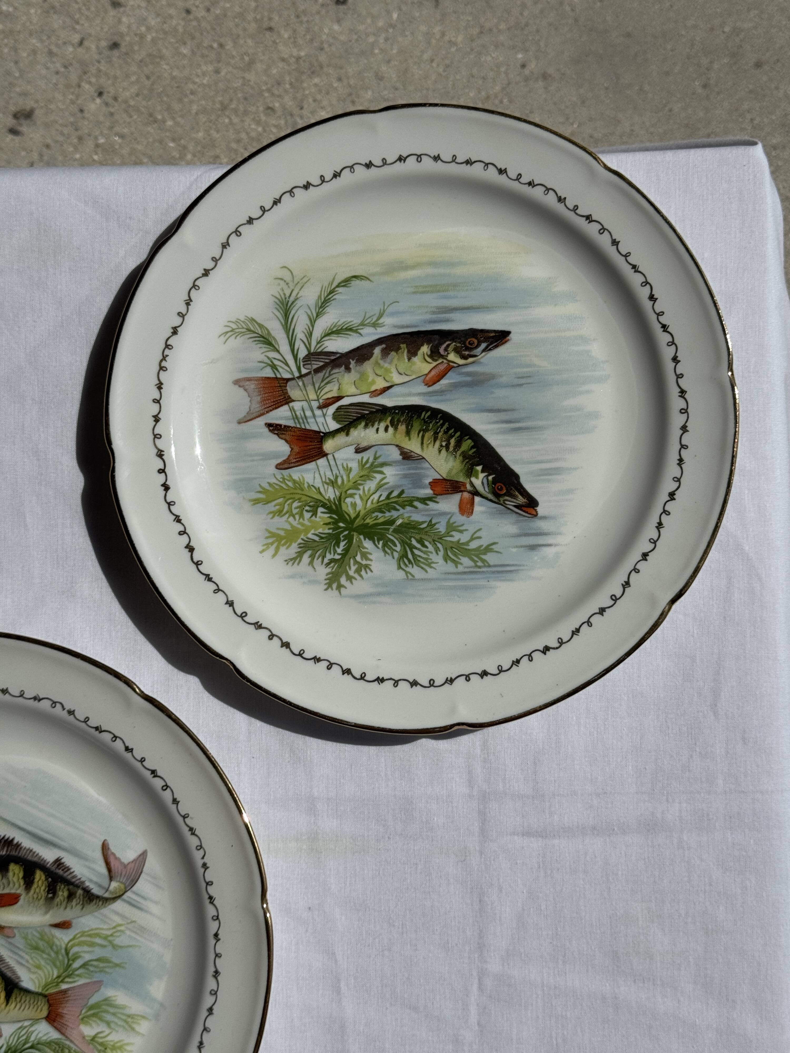Set of 6 vintage Limoges porcelain plates with fish design.