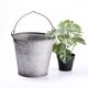 Pot de fleurs de seau en zinc vintage