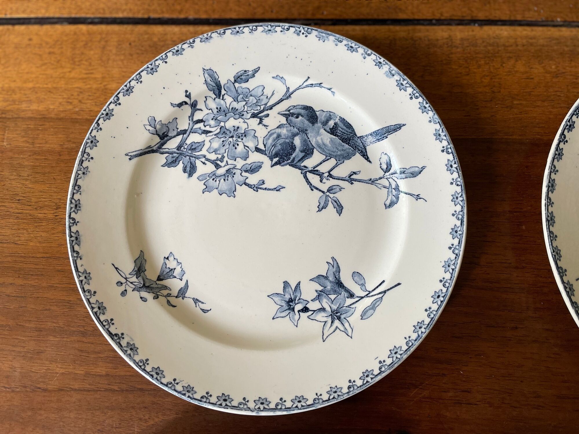 Flat plates Sarreguemines Terre de Fer model Blue Favorite