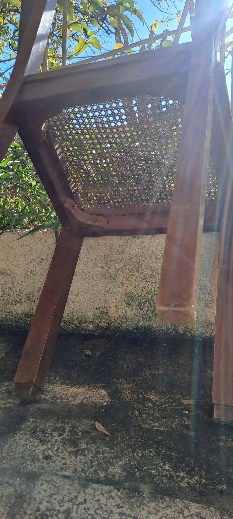 Art deco style chairs carved varnished wood honey brown color 1940