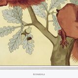 Poster "Squirrels", based on an Art Nouveau lithograph from 1897.