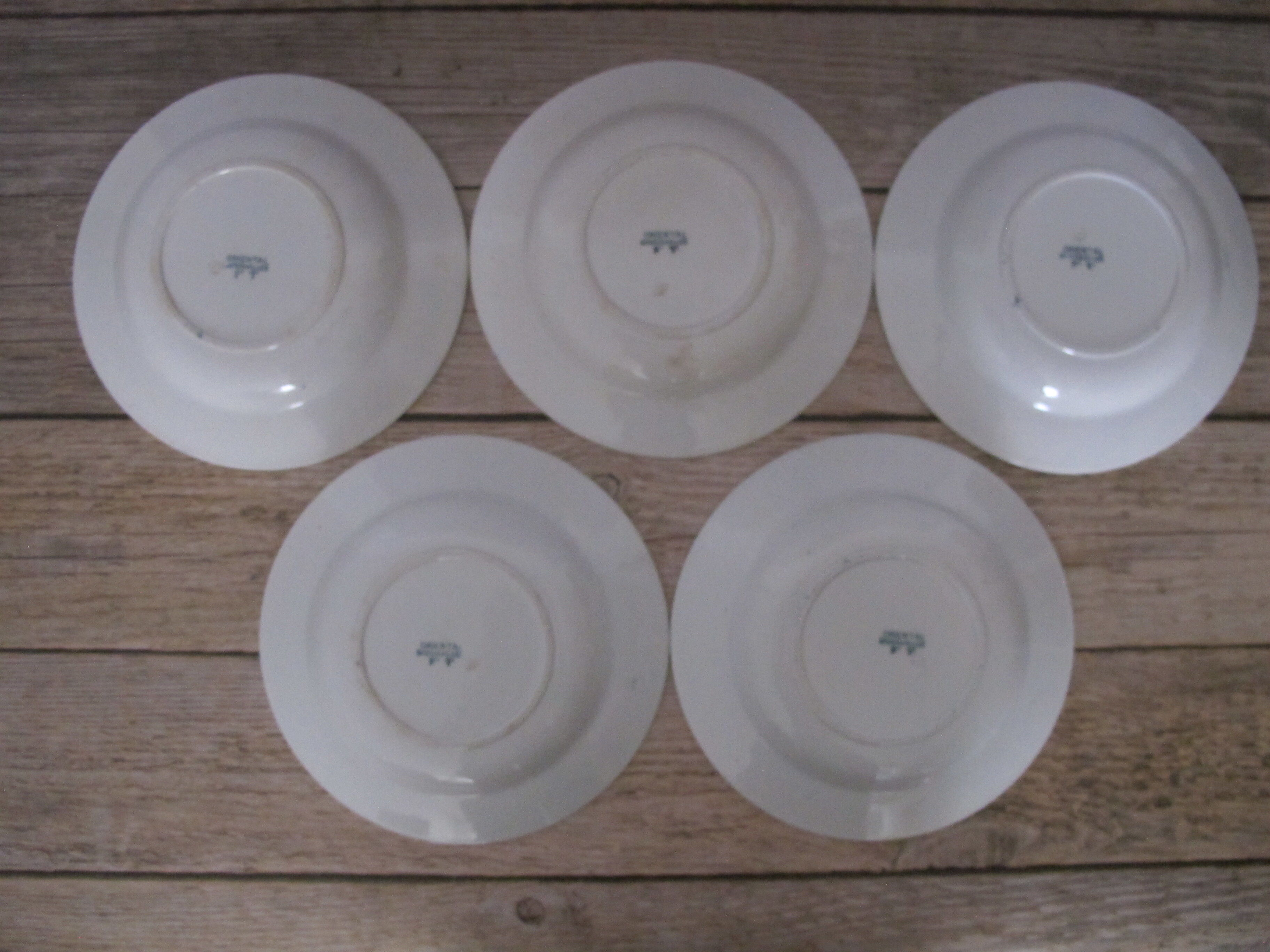 5 hollow plates in iron earth of Badonviller