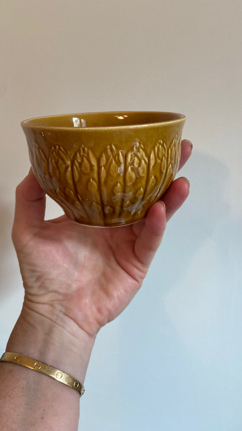 Service of 8 asparagus plates and its 2 sauce boats Gien 1960