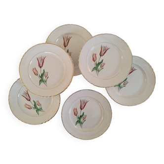 Old earthenware flat plates Moulin des loups orchies vintage tulip model