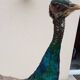 Taxidermy cabinet of curiosities stuffed peacock