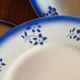 Lot of 9 dessert/starter plates Badonviller model Denise blue 1900-1905