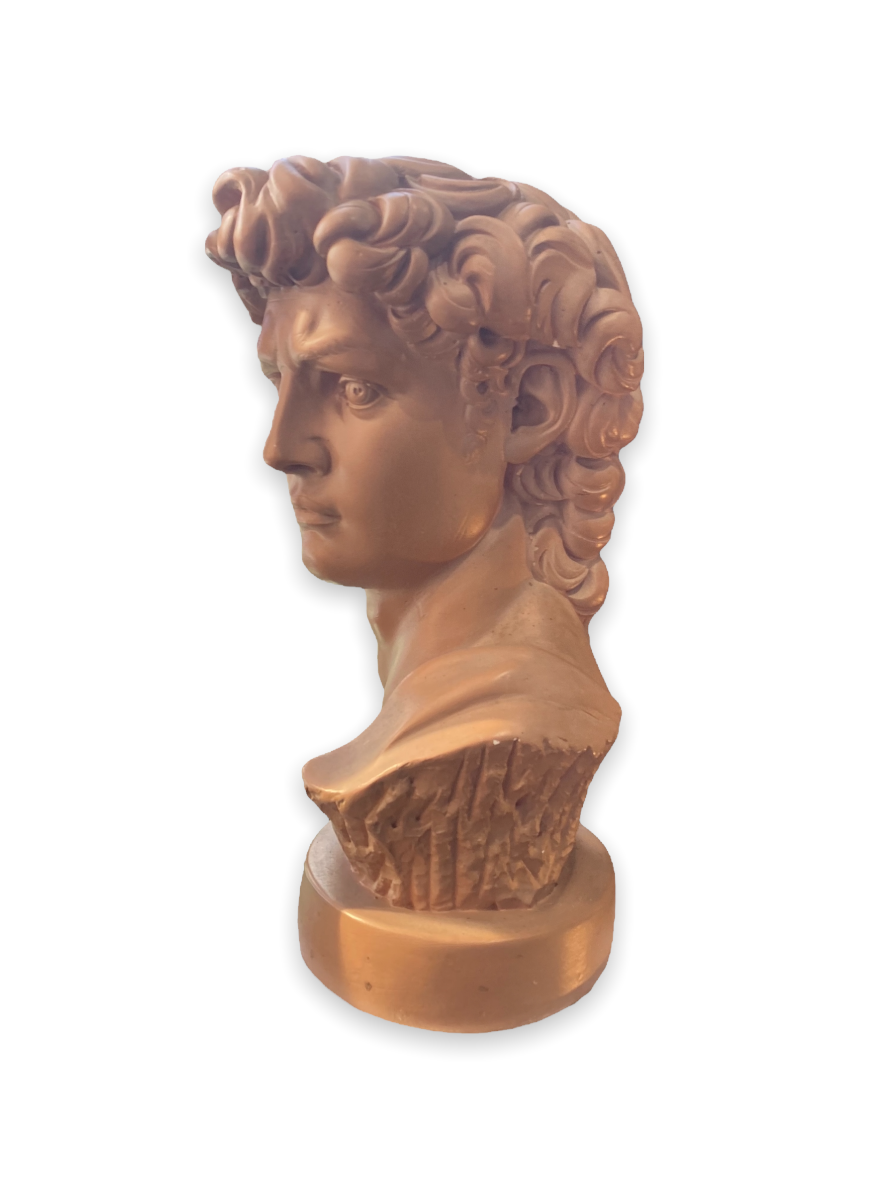 Bust David in plaster