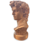 Bust David in plaster