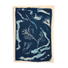Cyanotype 'Algues'