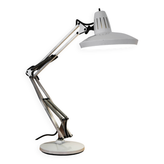 Fase articulated lamp