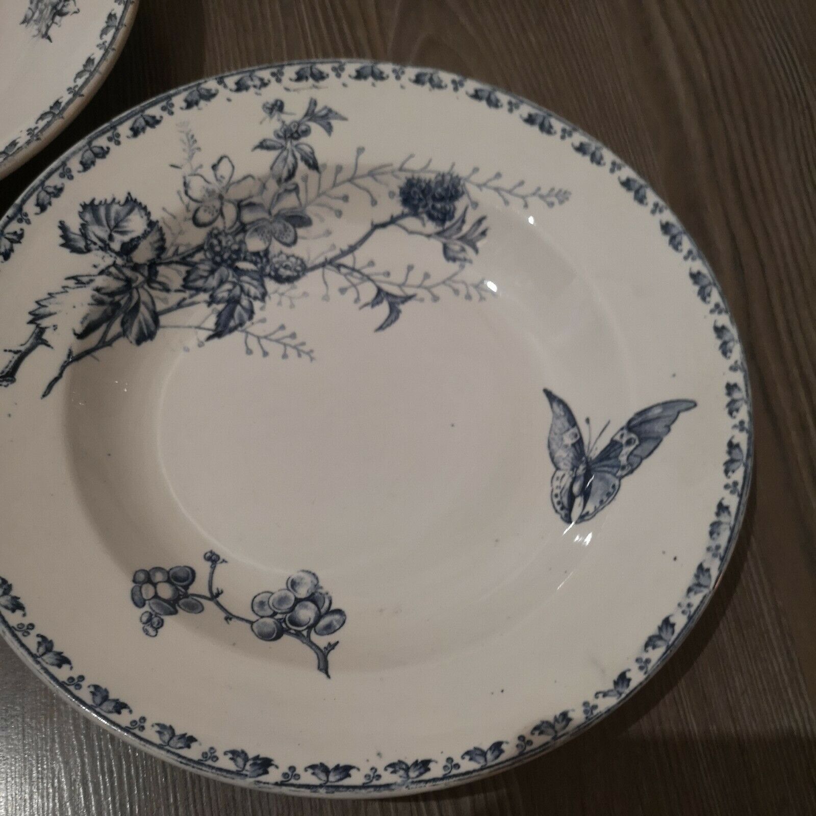 Series of 6 hollow plates in Sarreguemines earthenware model Carmen