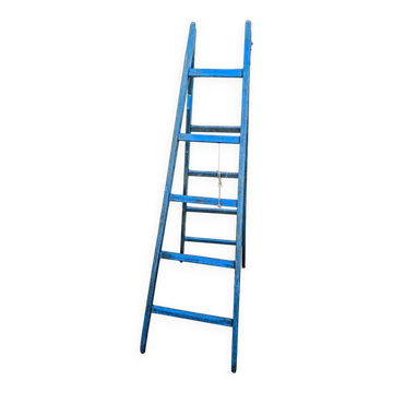 Old electric blue scale