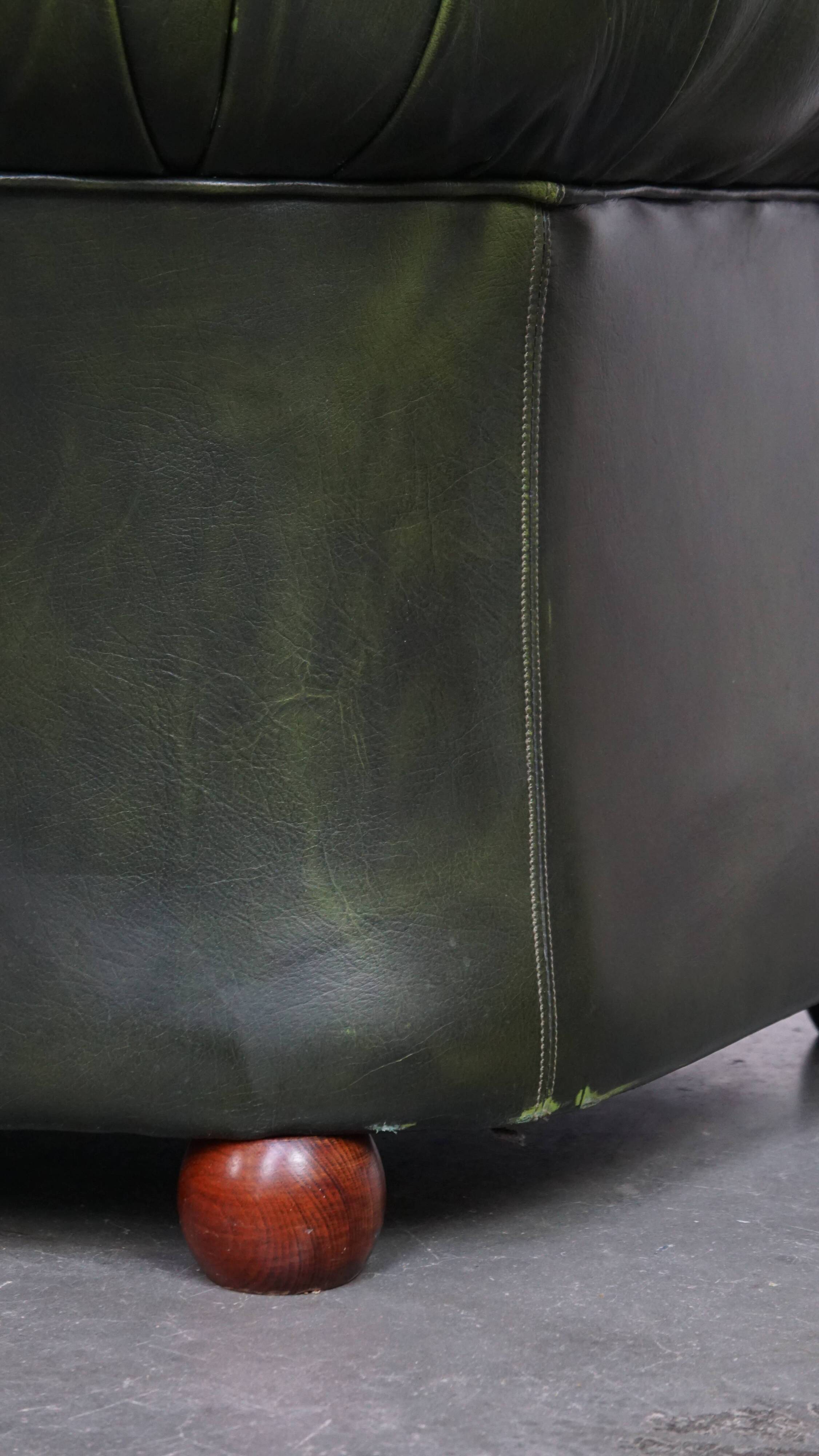 English Chesterfield 2-seater sofa in green cowhide leather