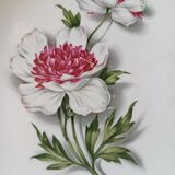 Plat Permacal Lunéville