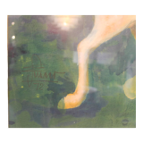 Framed painting representing horses, signed, XX th