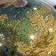 Terrestrial globe Grange Batelière
