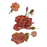 Old painting, gouache on paper, flowers, roses and carnations, framed, under glass.