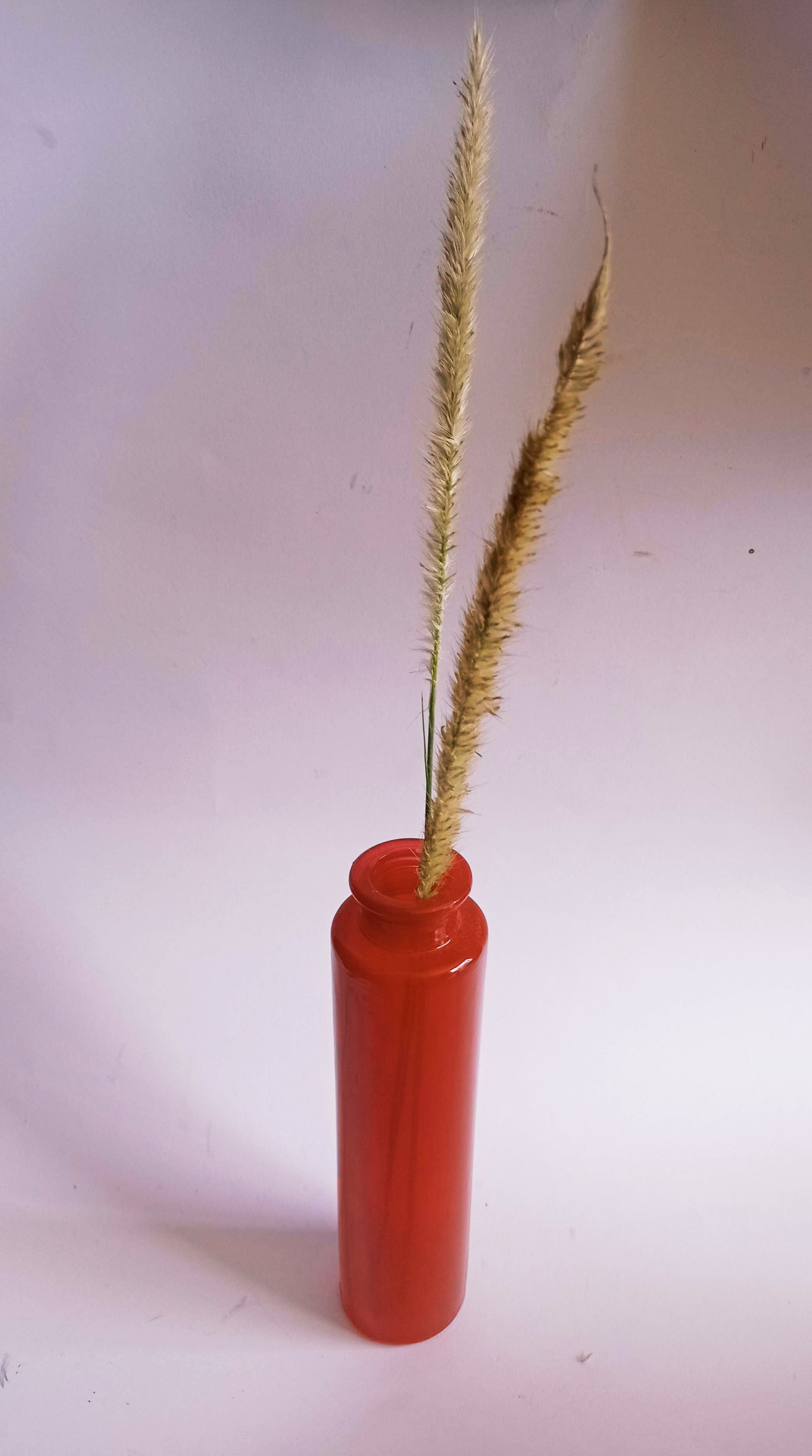 Red vintage glass vase