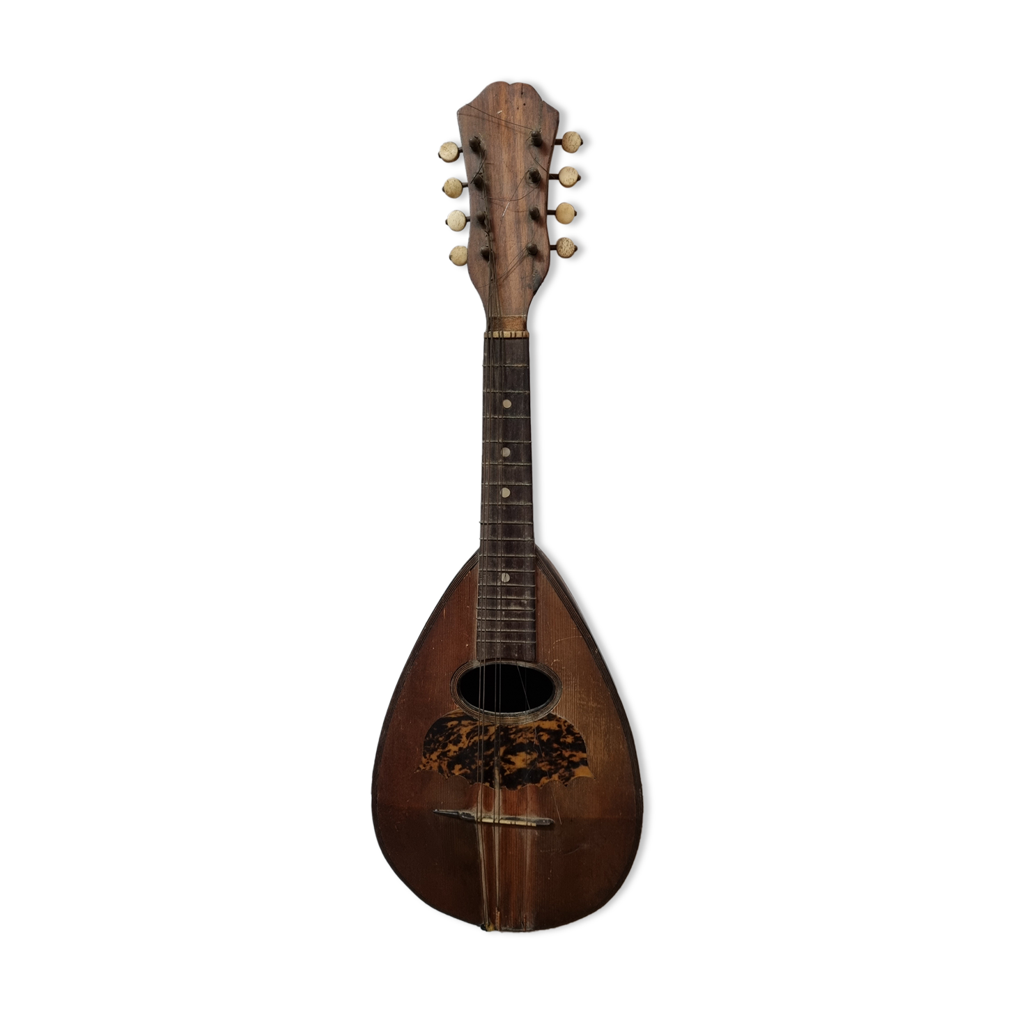 Mandolin Domenico Salvadori Napoli antico