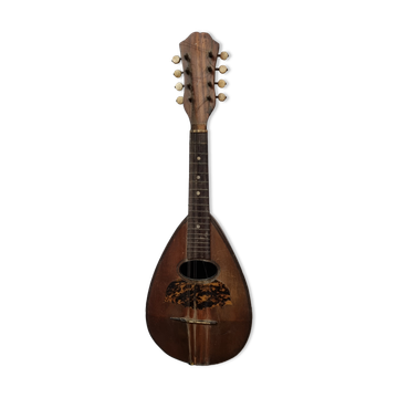 Mandolin Domenico Salvadori Napoli antico