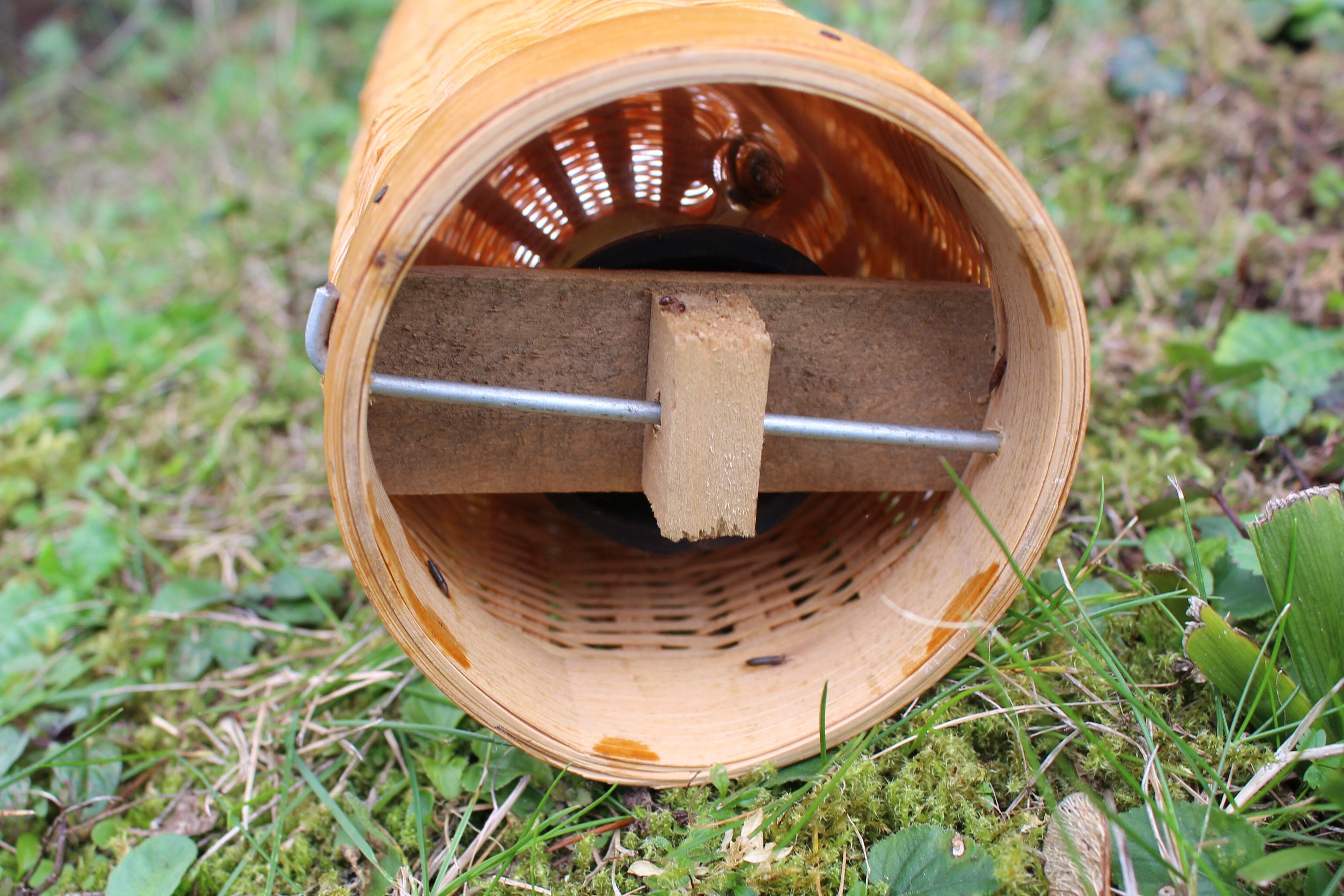 Bamboo insulated bottle