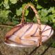Cup/vacuum pocket glazed ceramic 60s West-Germany
