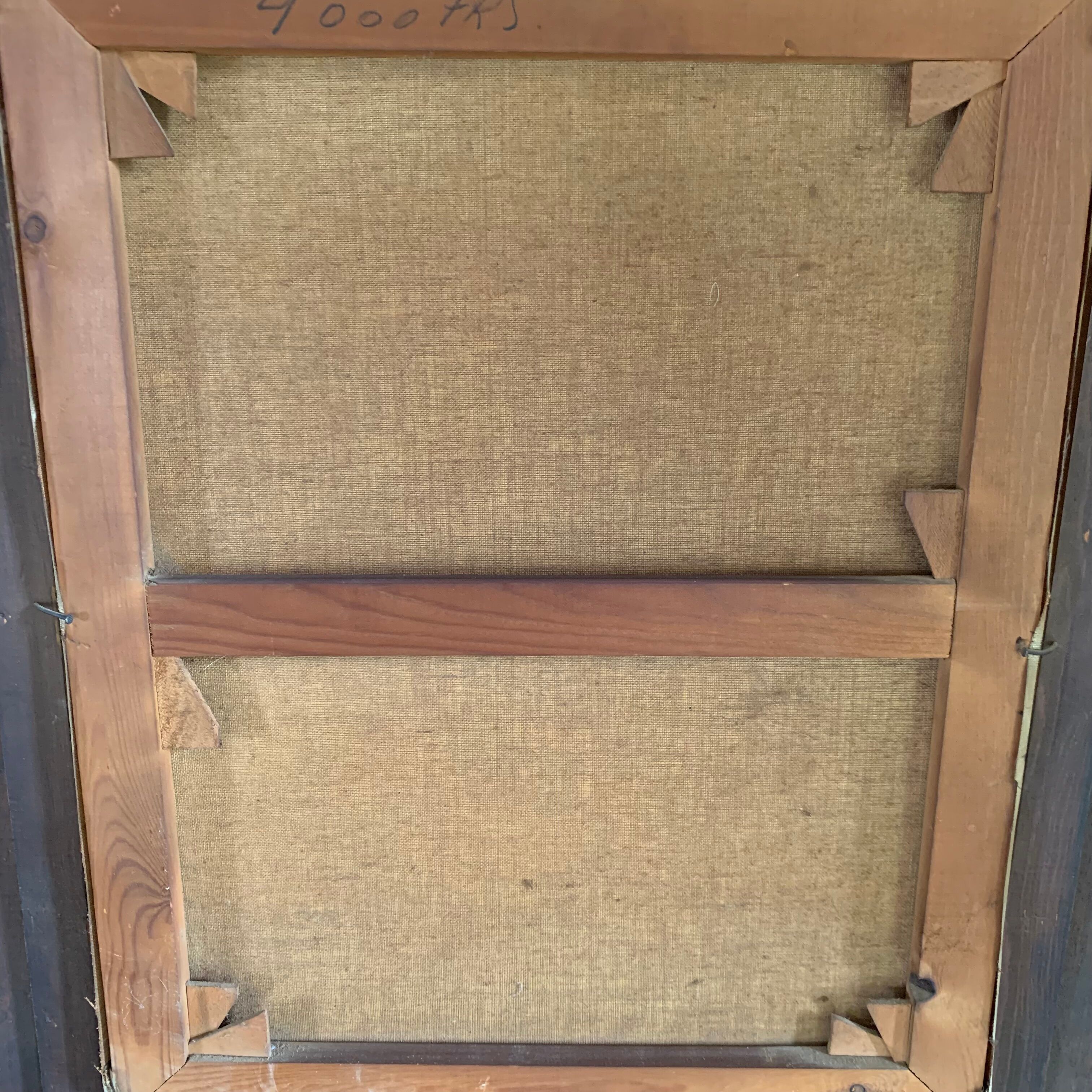 Portrait of a cocker spaniel dog