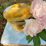 Old glazed terracotta vegetable