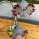 Hollywood Regency flower lamp in chrome steel and glass from the 1970s.