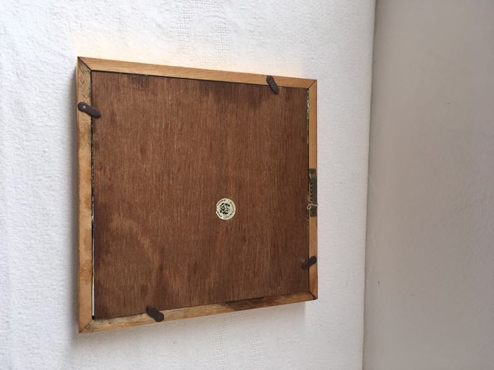 Frame butterfly taxidermy