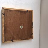 Frame butterfly taxidermy