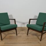 Model 300-139 Armchairs from Swarzędz Furniture Factory, 1960s, Set of 2