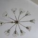 Emil Stejnar for Rupert Nikoll elliptical chandelier, Austria 1950s