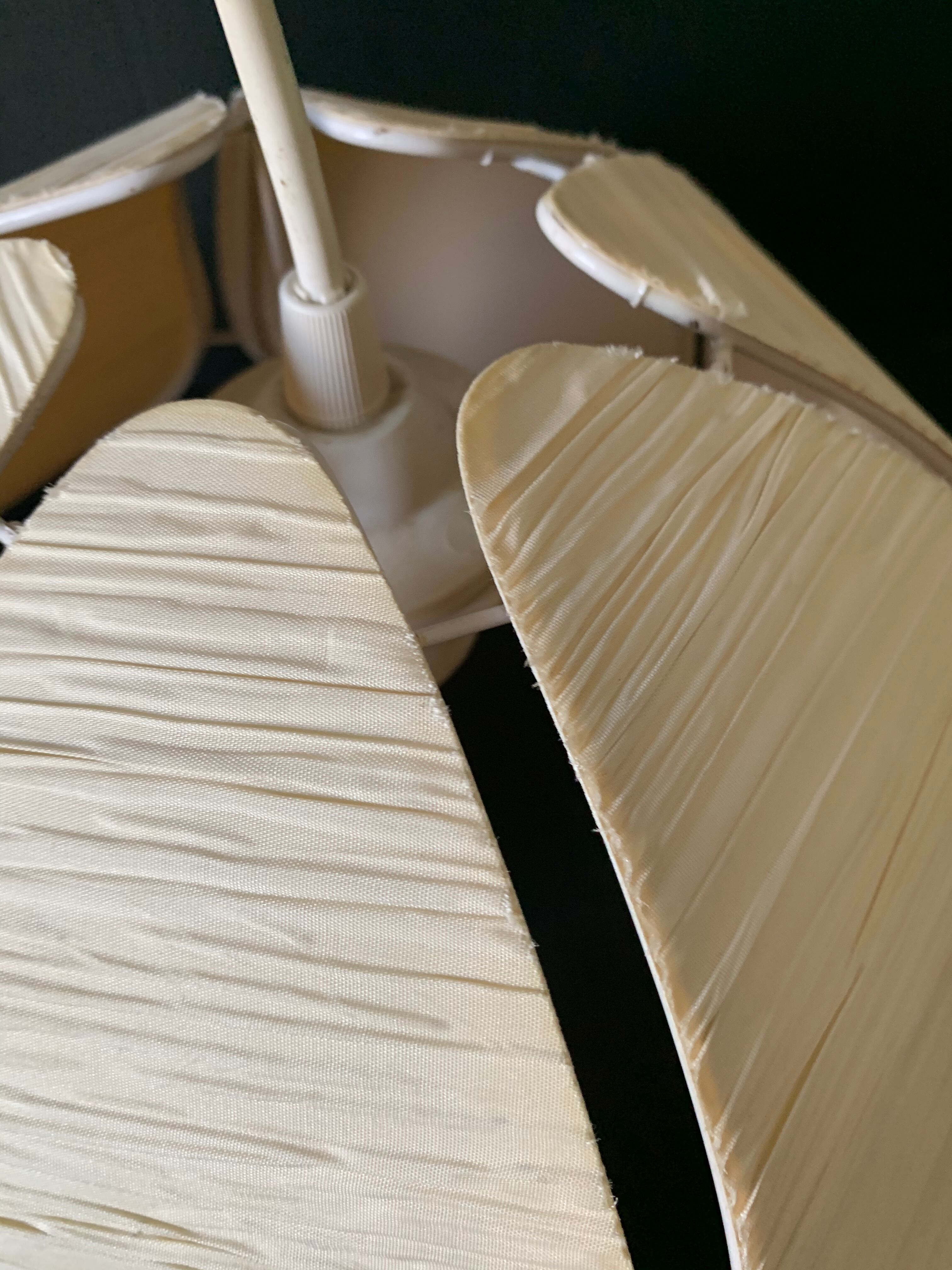 Day abat lotus flower petals