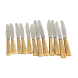 12 Apollonox knives in Bakelite