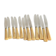 12 Apollonox knives in Bakelite