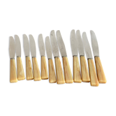 12 Apollonox knives in Bakelite