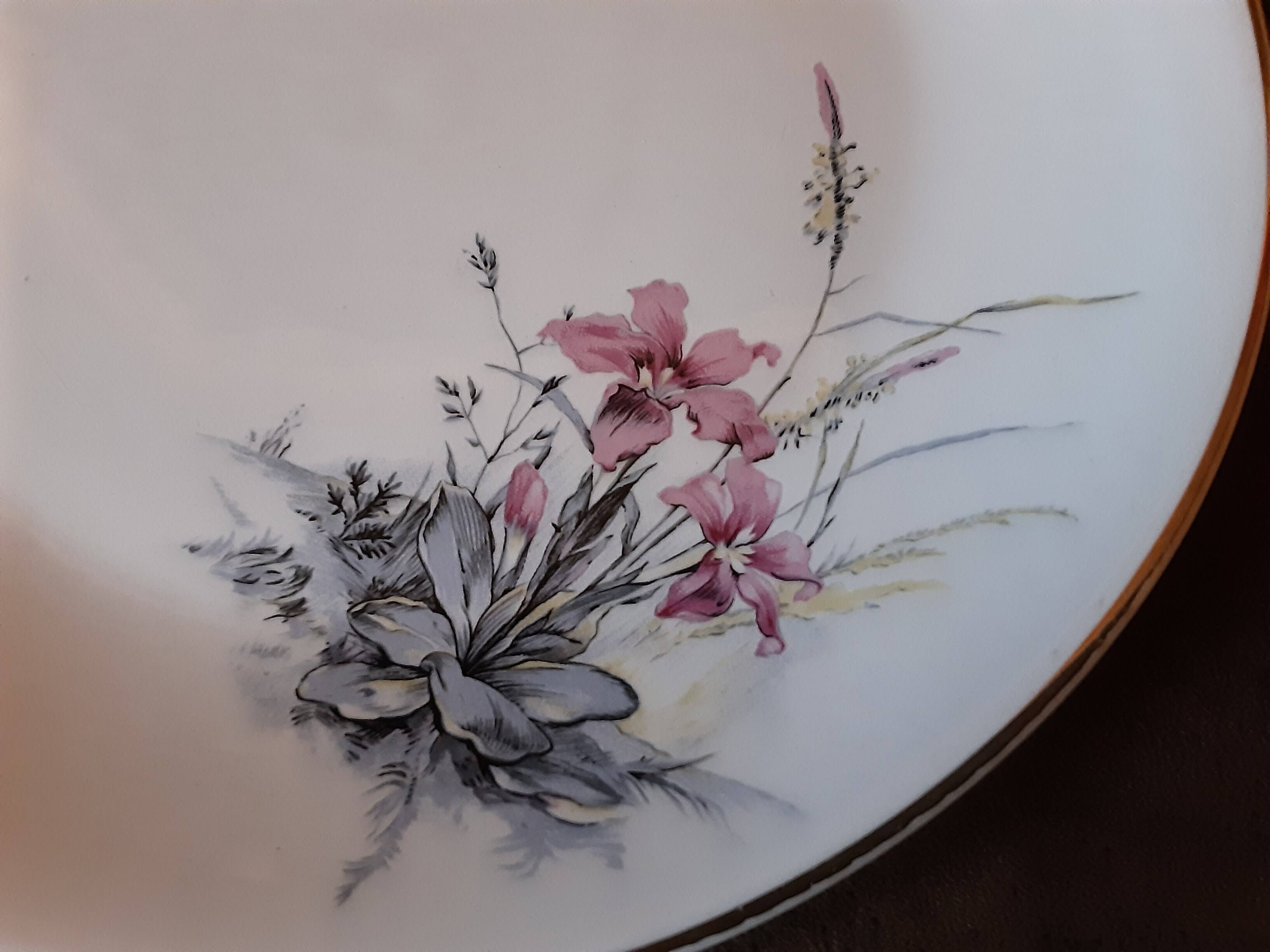 Set of 9 Digoin Sarreguemines dinner plates