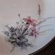 Lot de 9 assiettes  plates  Digoin sarreguemines