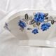 Old porcelain hollow dish of Limoges blue flowers