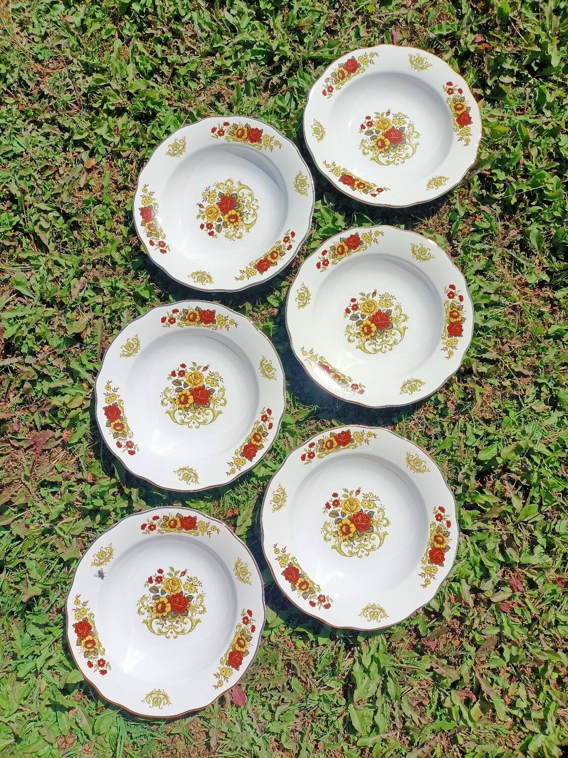 Soup plates x6 Digoin Sarreguemines 💐