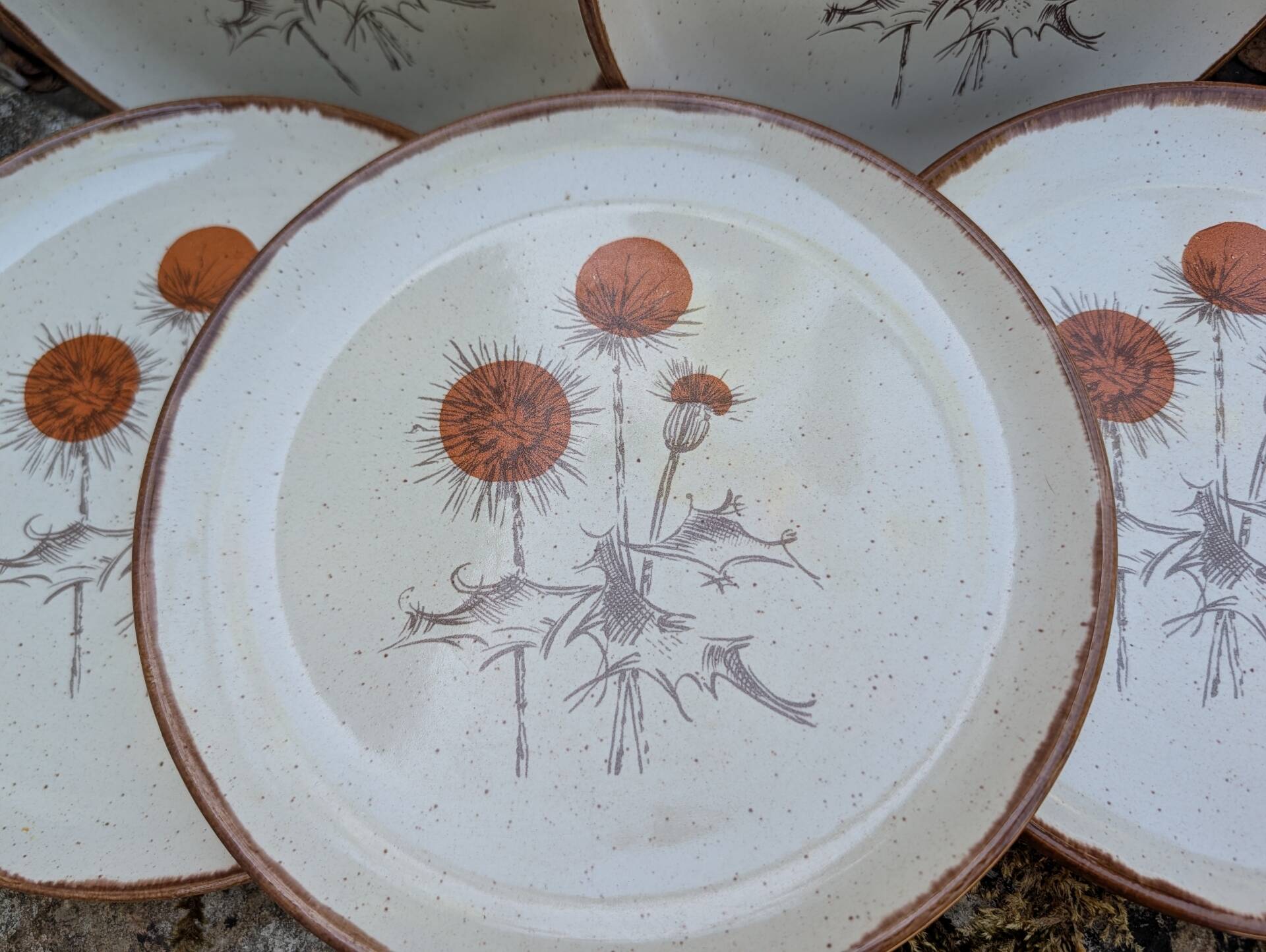 5 flat plates ADP Chardon decor from the 1970s