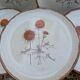 5 flat plates ADP Chardon decor from the 1970s