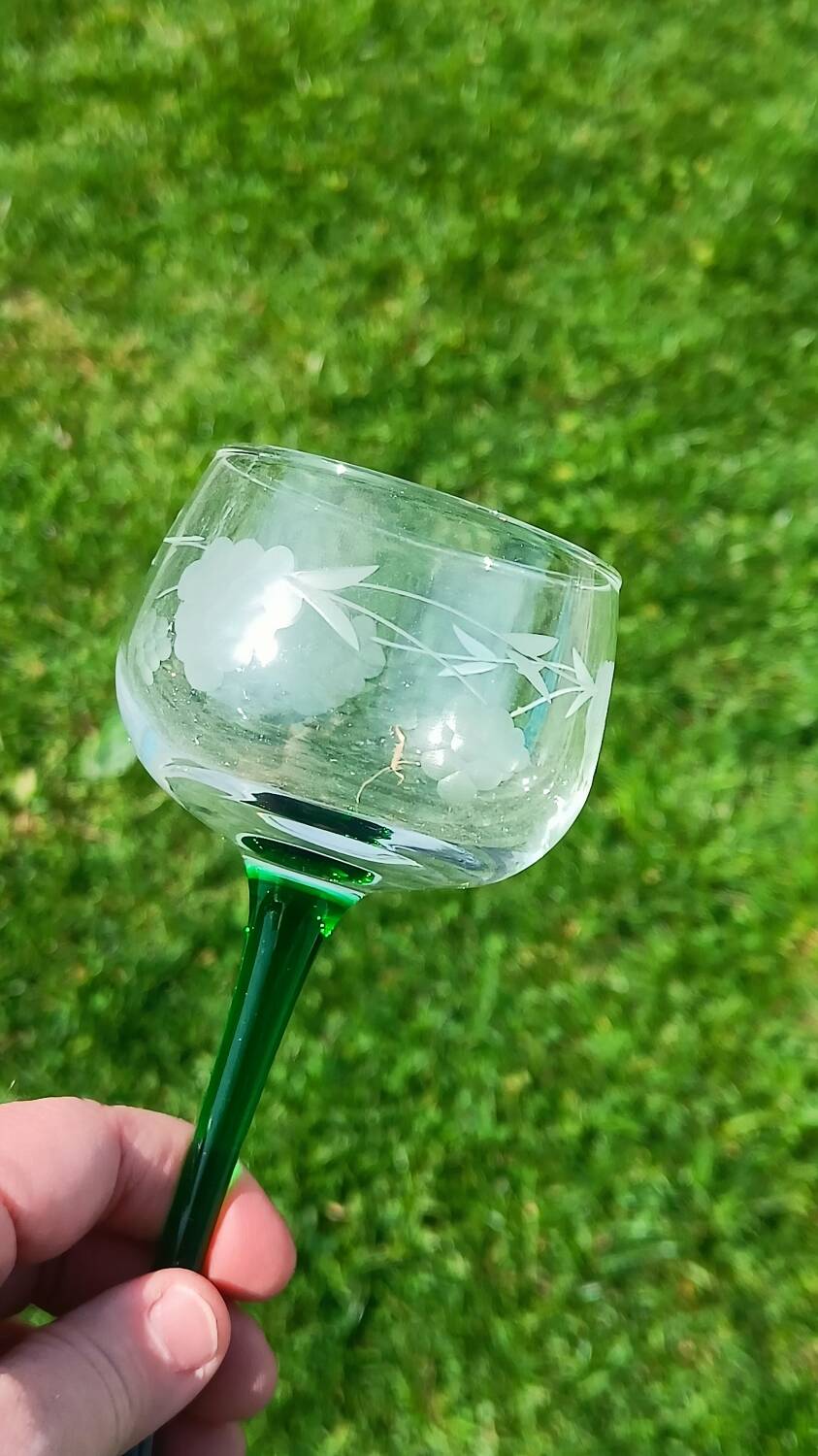Antique engraved glasses