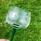 Antique engraved glasses